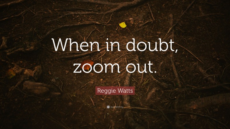 Reggie Watts Quote: “When in doubt, zoom out.”