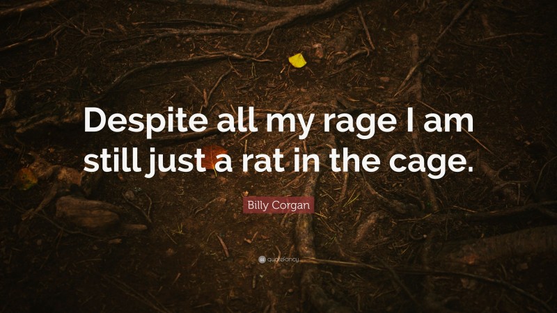 Billy Corgan Quote: “Despite all my rage I am still just a rat in the cage.”