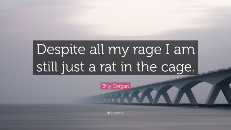 Billy Corgan Quote: “Despite all my rage I am still just a rat in the cage.”