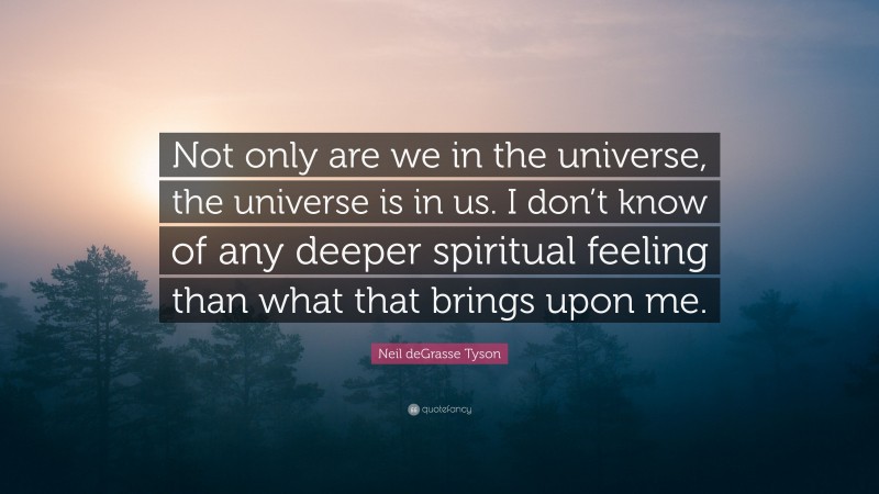 Neil deGrasse Tyson Quote: “Not only are we in the universe, the universe is in us. I don’t know of any deeper spiritual feeling than what that brings upon me.”