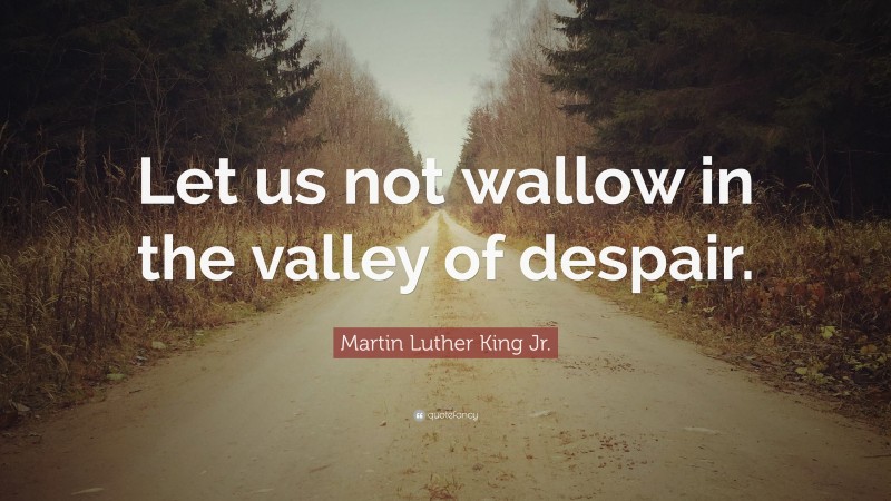 Martin Luther King Jr. Quote: “Let us not wallow in the valley of despair.”