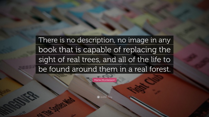 Maria Montessori Quote: “There is no description, no image in any book that is capable of replacing the sight of real trees, and all of the life to be found around them in a real forest.”