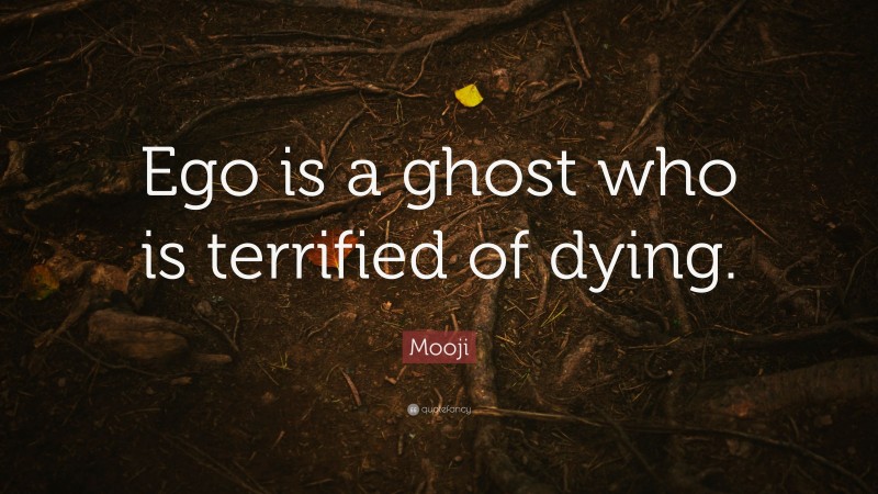 Mooji Quote: “Ego is a ghost who is terrified of dying.”