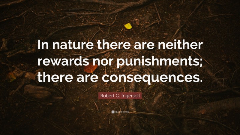 Robert G. Ingersoll Quote: “In nature there are neither rewards nor punishments; there are consequences.”