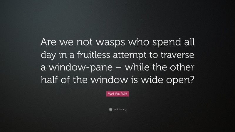 Wei Wu Wei Quote: “Are we not wasps who spend all day in a fruitless attempt to traverse a window-pane – while the other half of the window is wide open?”