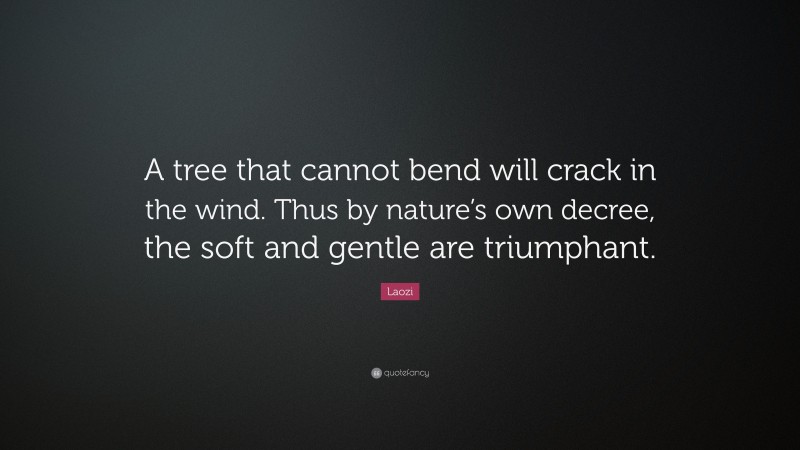 Laozi Quote: “A tree that cannot bend will crack in the wind. Thus by nature’s own decree, the soft and gentle are triumphant.”