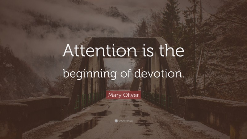 Mary Oliver Quote: “Attention is the beginning of devotion.”