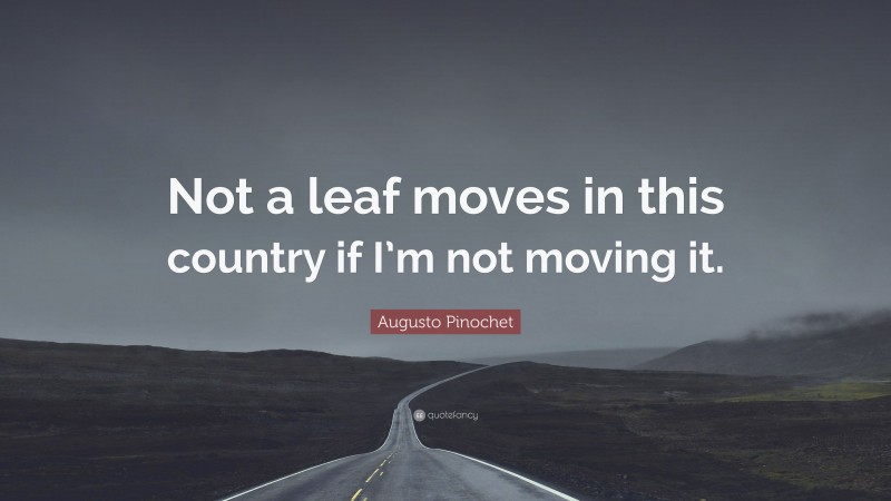 Augusto Pinochet Quote: “Not a leaf moves in this country if I’m not moving it.”