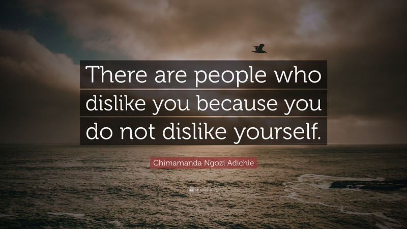 Chimamanda Ngozi Adichie Quote: “There are people who dislike you because you do not dislike yourself.”