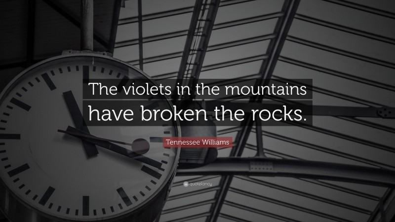 Tennessee Williams Quote: “The violets in the mountains have broken the rocks.”