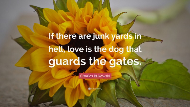 Charles Bukowski Quote: “If there are junk yards in hell, love is the dog that guards the gates.”