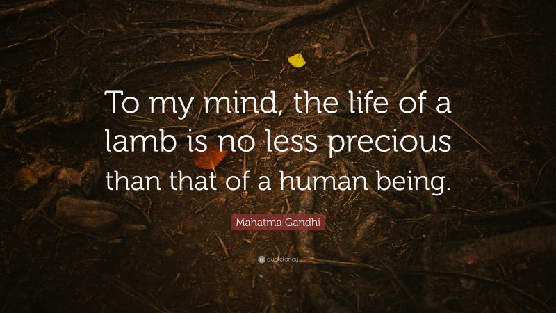 Mahatma Gandhi Quote: “To my mind, the life of a lamb is no less precious than that of a human being.”