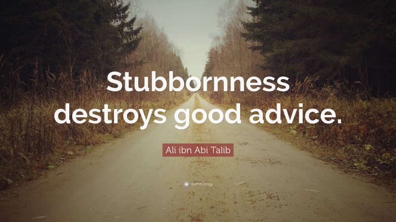 Ali ibn Abi Talib Quote: “Stubbornness destroys good advice.”