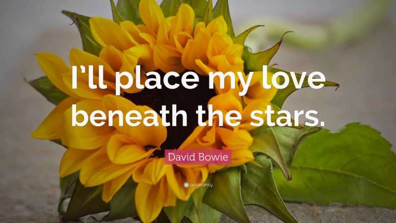 David Bowie Quote: “I’ll place my love beneath the stars.”
