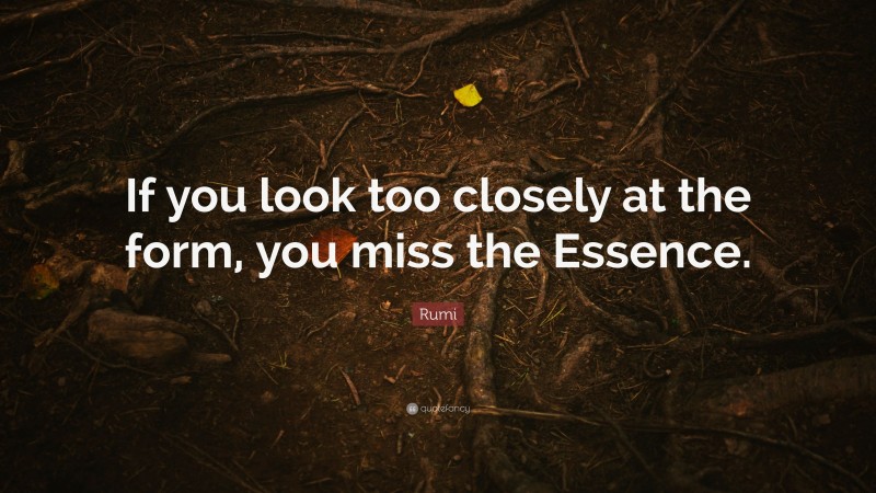 Rumi Quote: “If you look too closely at the form, you miss the Essence.”