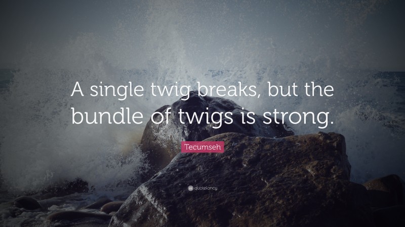 Tecumseh Quote: “A single twig breaks, but the bundle of twigs is strong.”
