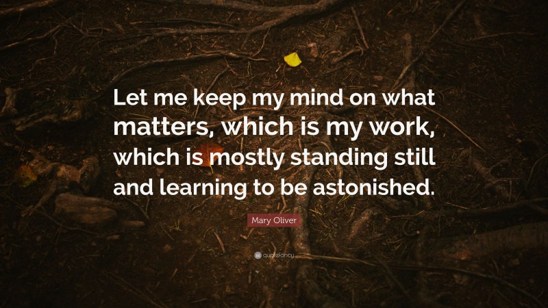 Mary Oliver Quote: “Let me keep my mind on what matters, which is my work, which is mostly standing still and learning to be astonished.”