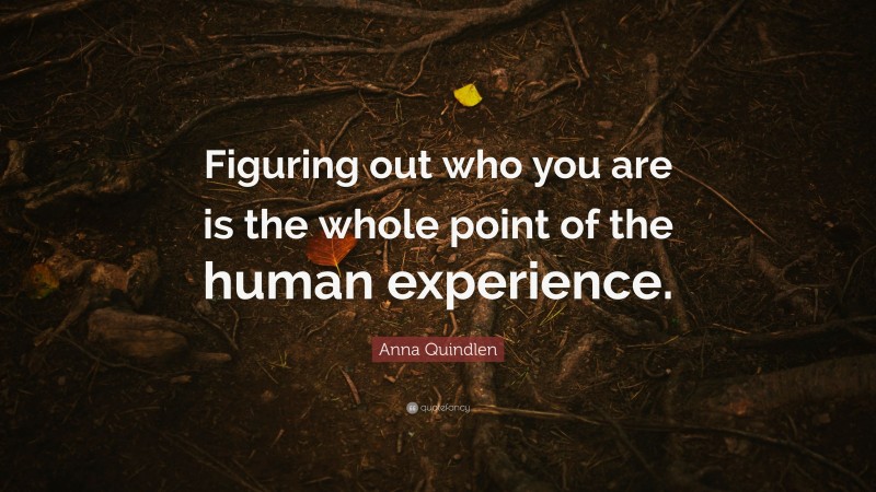 Anna Quindlen Quote: “Figuring out who you are is the whole point of the human experience.”