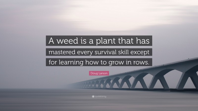 Doug Larson Quote: “A weed is a plant that has mastered every survival skill except for learning how to grow in rows.”