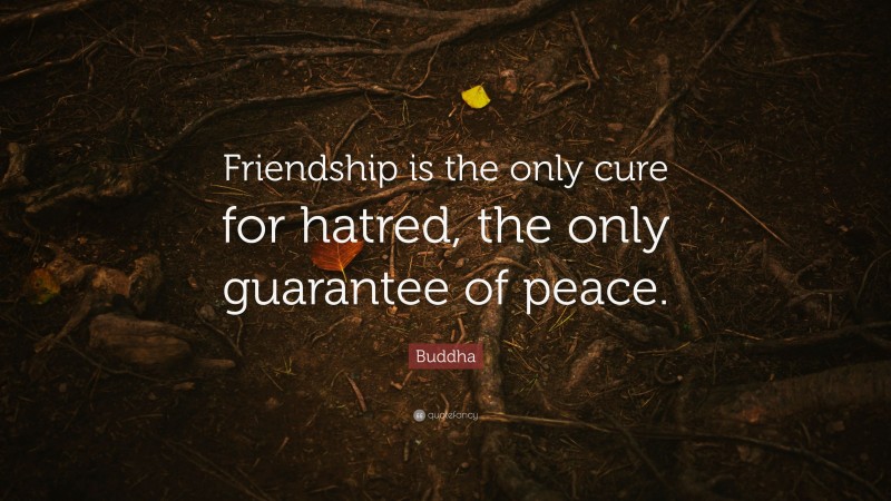 Buddha Quote: “Friendship is the only cure for hatred, the only guarantee of peace.”