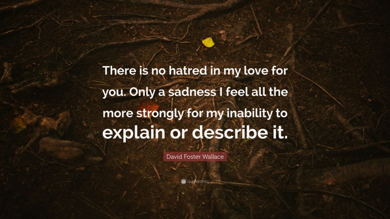 David Foster Wallace Quote: “There is no hatred in my love for you. Only a sadness I feel all the more strongly for my inability to explain or describe it.”