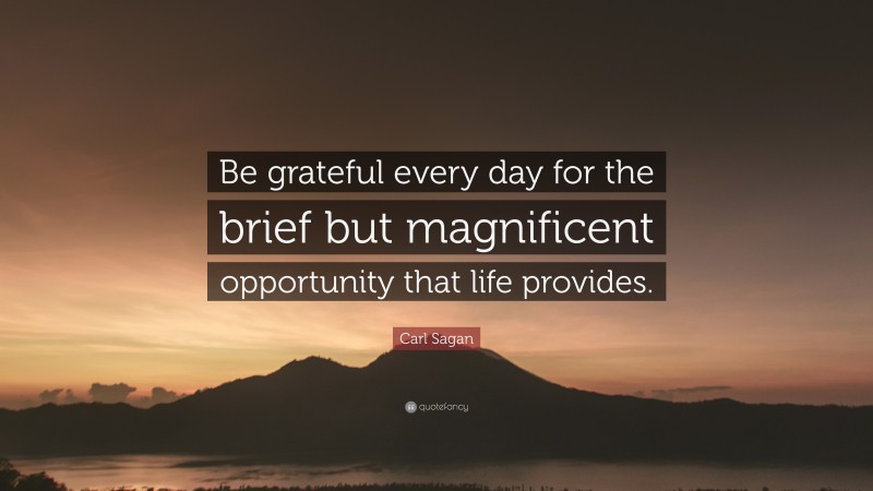 Carl Sagan Quote: “Be grateful every day for the brief but magnificent opportunity that life provides.”