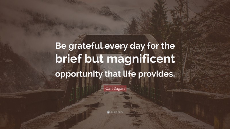 Carl Sagan Quote: “Be grateful every day for the brief but magnificent opportunity that life provides.”