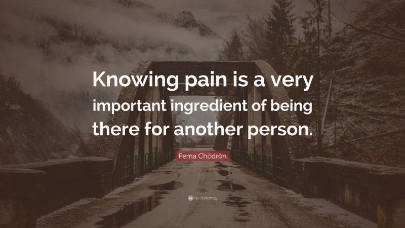 Pema Chödrön Quote: “Knowing pain is a very important ingredient of being there for another person.”
