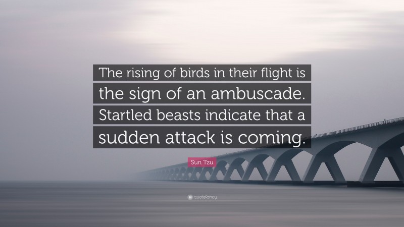 Sun Tzu Quote: “The rising of birds in their flight is the sign of an ambuscade. Startled beasts indicate that a sudden attack is coming.”