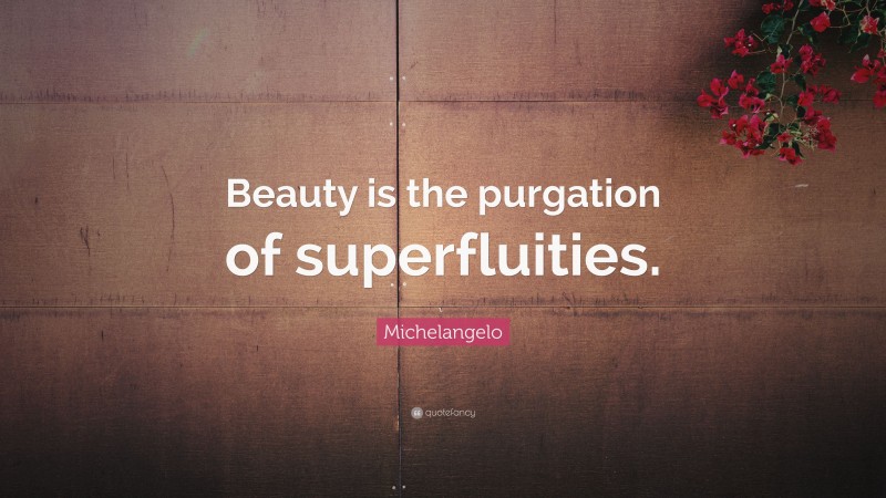 Michelangelo Quote: “Beauty is the purgation of superfluities.”