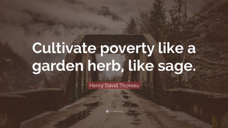 Henry David Thoreau Quote: “Cultivate poverty like a garden herb, like sage.”