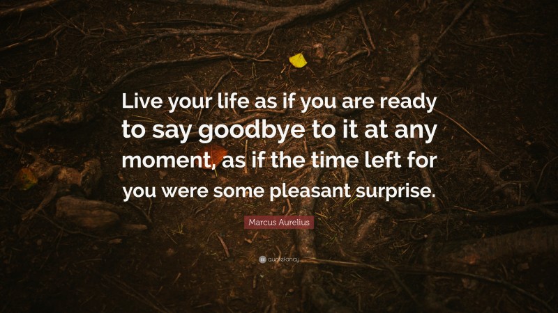 Marcus Aurelius Quote: “Live your life as if you are ready to say goodbye to it at any moment, as if the time left for you were some pleasant surprise.”