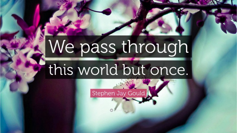 Stephen Jay Gould Quote: “We pass through this world but once.”