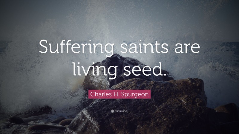 Charles H. Spurgeon Quote: “Suffering saints are living seed.”