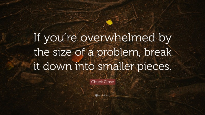 Chuck Close Quote: “If you’re overwhelmed by the size of a problem, break it down into smaller pieces.”