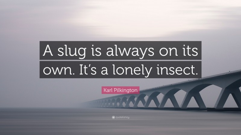 Karl Pilkington Quote: “A slug is always on its own. It’s a lonely insect.”