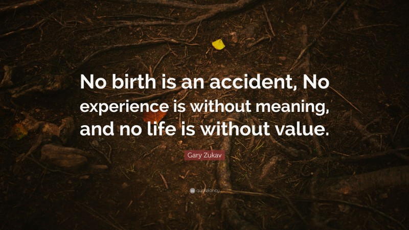 Gary Zukav Quote: “No birth is an accident, No experience is without meaning, and no life is without value.”
