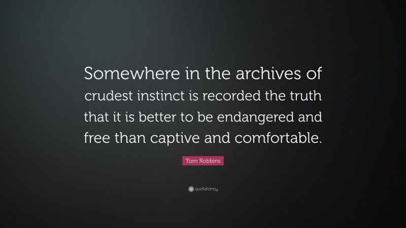 Tom Robbins Quote: “Somewhere in the archives of crudest instinct is recorded the truth that it is better to be endangered and free than captive and comfortable.”