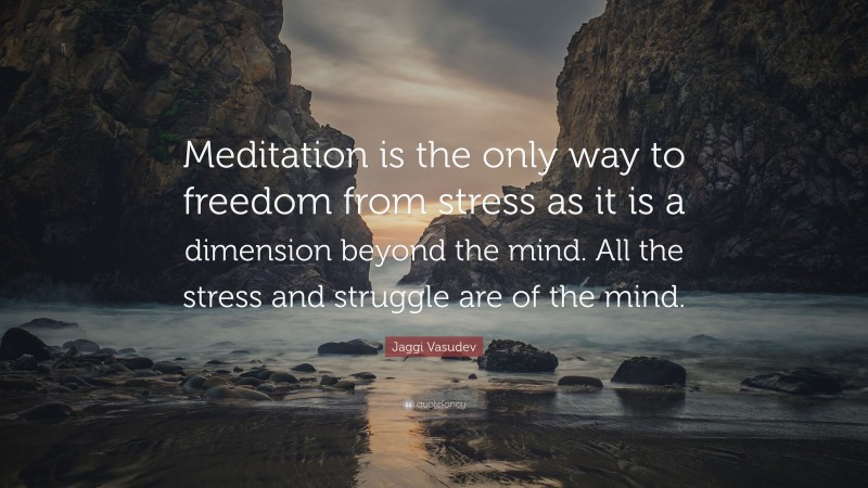Jaggi Vasudev Quote: “Meditation is the only way to freedom from stress as it is a dimension beyond the mind. All the stress and struggle are of the mind.”