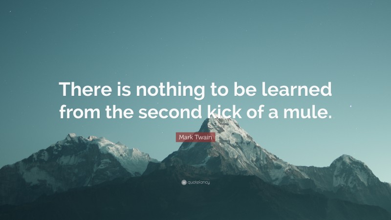 Mark Twain Quote: “There is nothing to be learned from the second kick of a mule.”