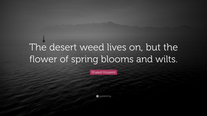 Khaled Hosseini Quote: “The desert weed lives on, but the flower of spring blooms and wilts.”