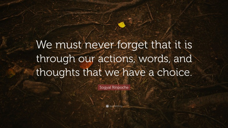 Sogyal Rinpoche Quote: “We must never forget that it is through our actions, words, and thoughts that we have a choice.”
