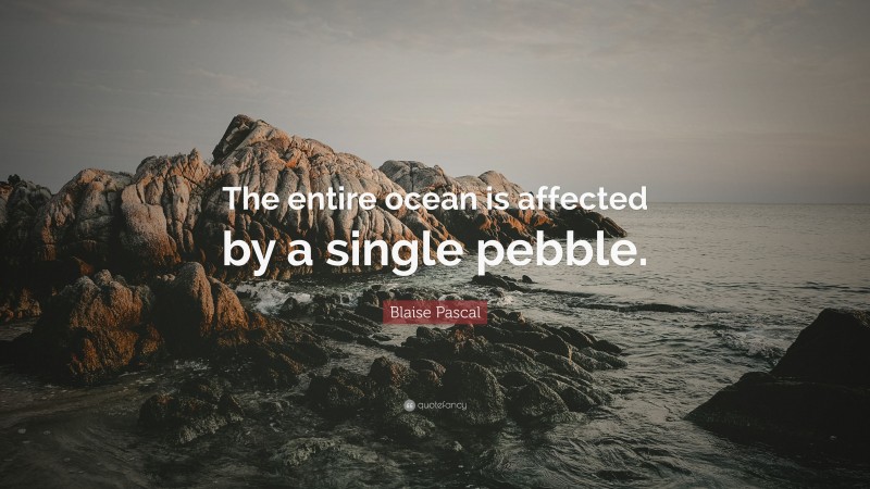 Blaise Pascal Quote: “The entire ocean is affected by a single pebble.”