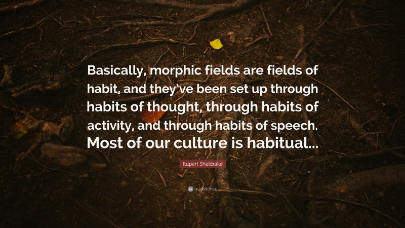 Rupert Sheldrake Quote: “Basically, morphic fields are fields of habit, and they’ve been set up through habits of thought, through habits of activity, and through habits of speech. Most of our culture is habitual...”