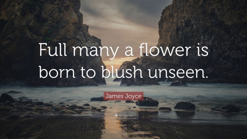 James Joyce Quote: “Full many a flower is born to blush unseen.”