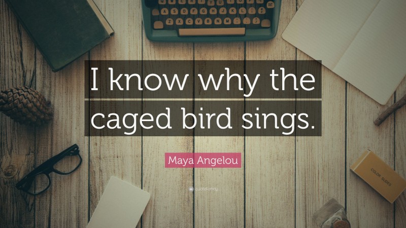 Maya Angelou Quote: “I know why the caged bird sings.”
