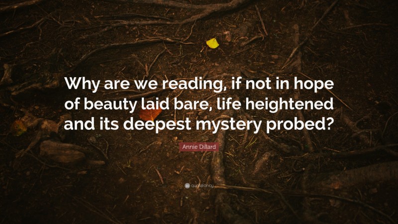 Annie Dillard Quote: “Why are we reading, if not in hope of beauty laid bare, life heightened and its deepest mystery probed?”