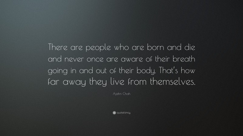 Ajahn Chah Quote: “There are people who are born and die and never once are aware of their breath going in and out of their body. That’s how far away they live from themselves.”