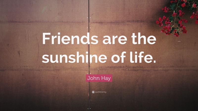 John Hay Quote: “Friends are the sunshine of life.”