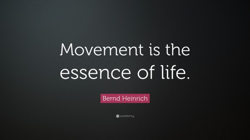 Bernd Heinrich Quote: “Movement is the essence of life.”